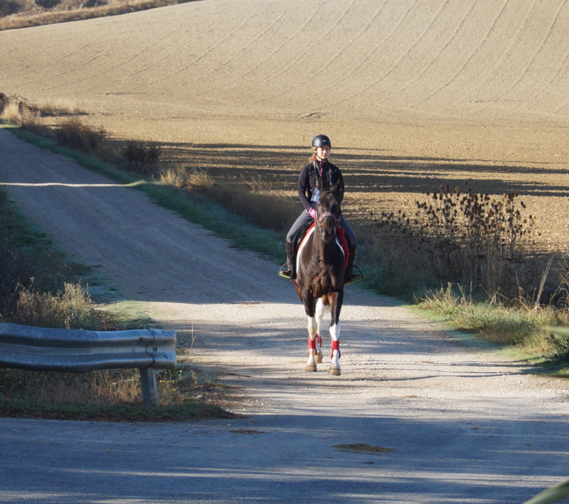 El CH Zolina acogi&oacute; el Campeonato Navarro de TREC